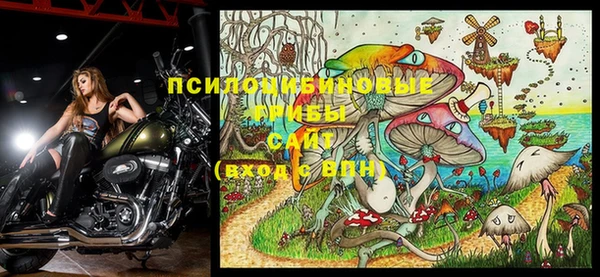 стафф Вязники