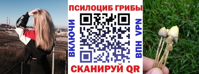 Галлюциногенные грибы мицелий купить наркоту Ачинск